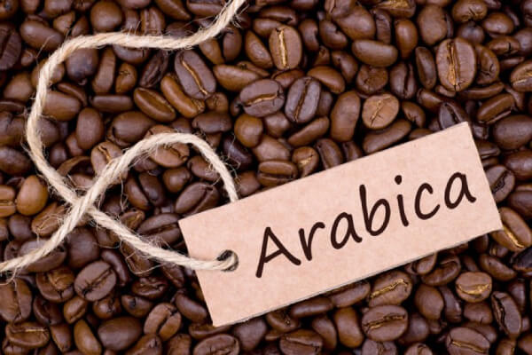 hạt arabica được ưu tiên để sản xuất
